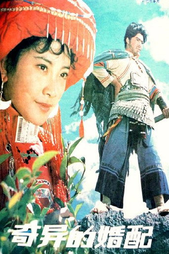 奇異的婚配海報
