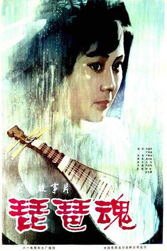 琵琶魂海報
