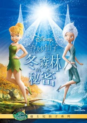 奇妙仙子:冬森林的秘密海報