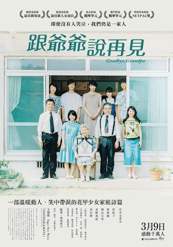 跟爺爺說再見海報