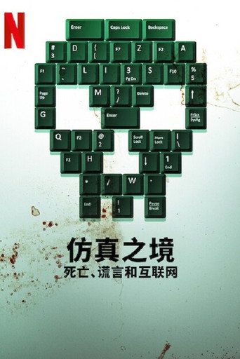 模擬之境海報