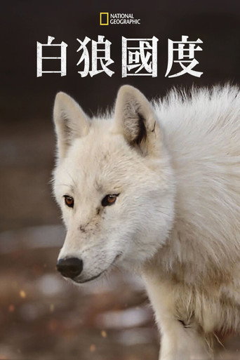 白狼國度海報
