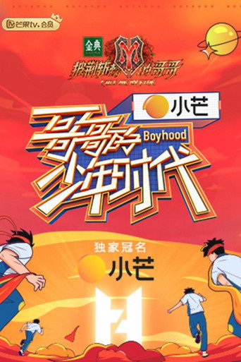 哥哥的少年時代海報