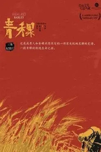 青稞海報