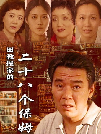 田教授家的28個保姆海報