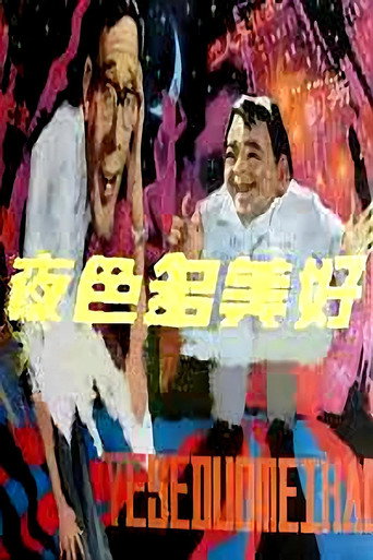 夜色多美好海報