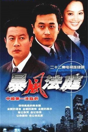 暴風法庭海報