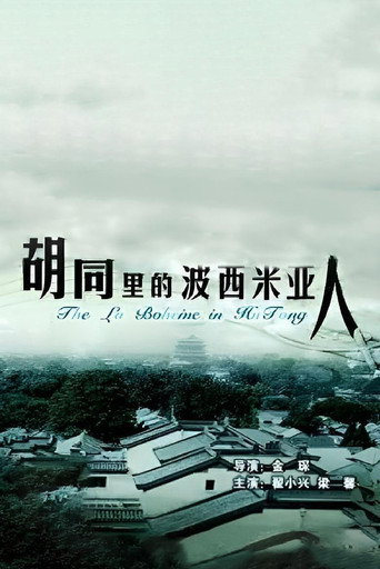 衚衕裡的波西米亞人海報