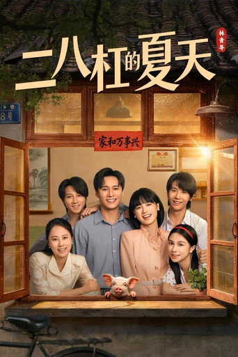 二八槓的夏天海報