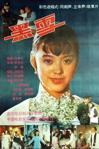 黑雪海報