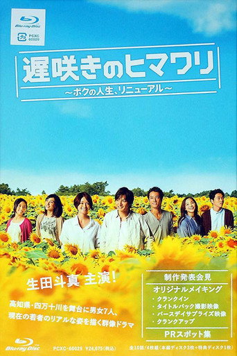 遲開的向日葵海報