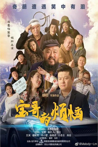 寶哥的煩惱海報