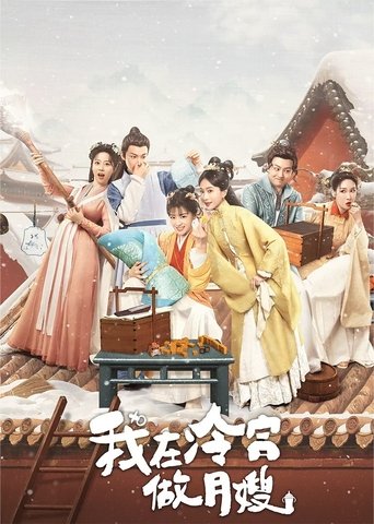 我在冷宮做月嫂海報