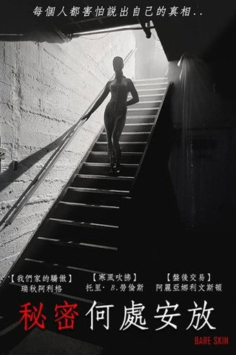 秘密何處安放海報