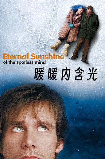 王牌冤家海報