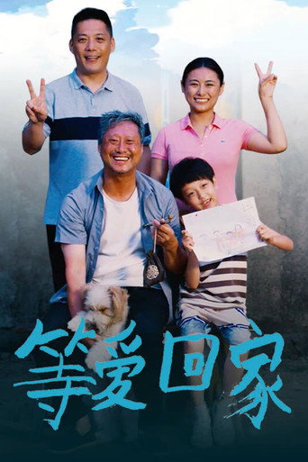等愛回家海報