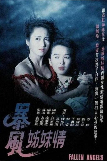 暴風姊妹情海報