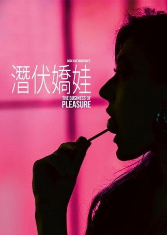 潛伏嬌娃海報