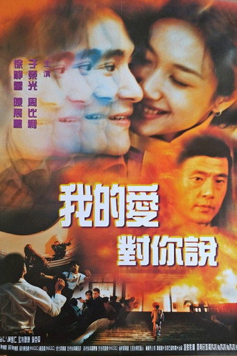 忽然丈夫海報