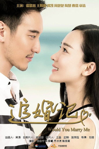 追婚記海報