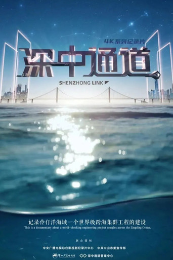 深中通道海報