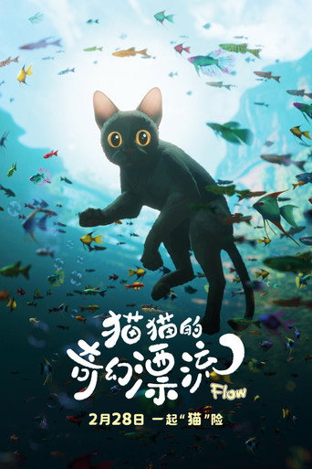 喵的奇幻漂流海報