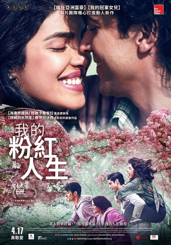 我的粉紅人生海報