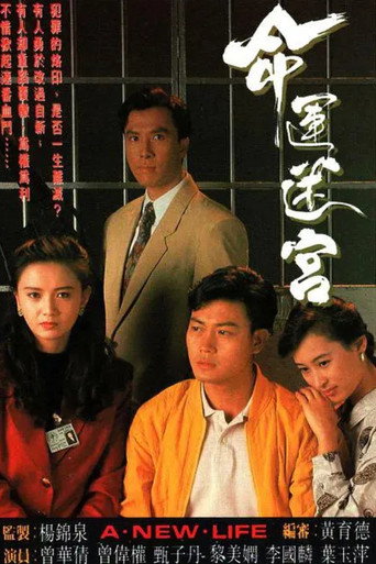 命運迷宮海報