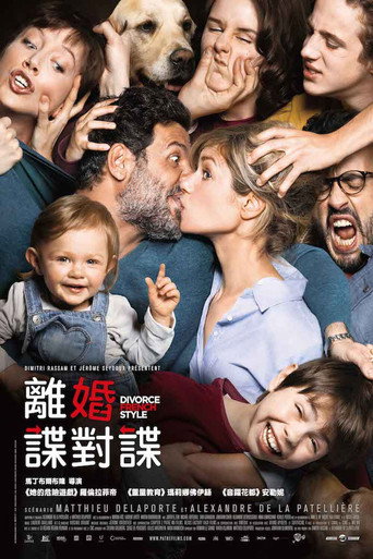 離婚諜對諜海報