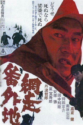 網走番外地海報