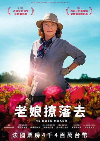 老孃撩落去海報