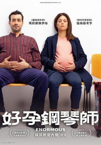 好孕鋼琴師海報