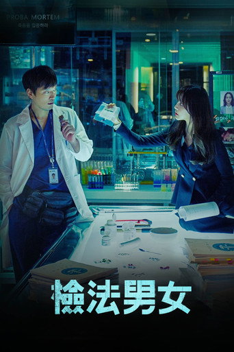 檢法男女 第 1 季海報