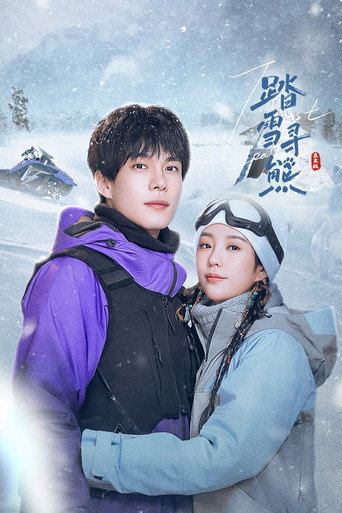 踏雪尋熊海報