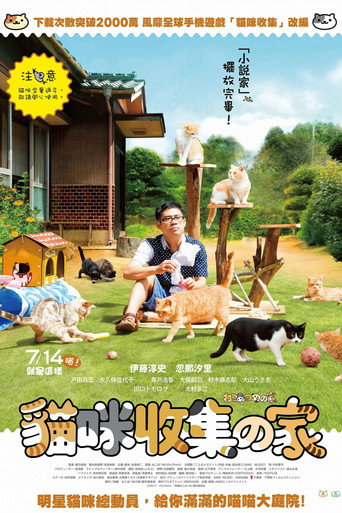 貓咪收集之家海報
