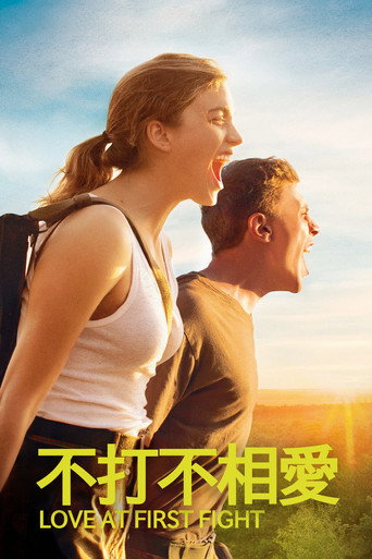 不打不相愛海報