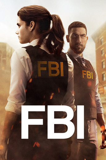 聯邦調查局FBI 第 1 季海報