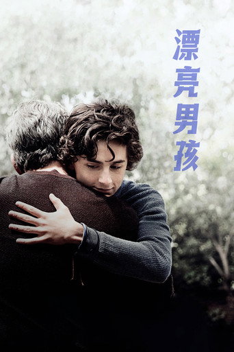 美麗男孩海報