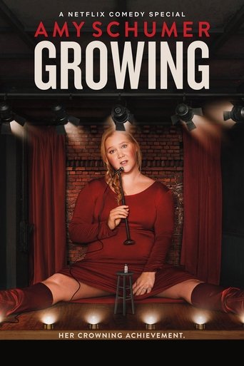 艾米·舒默:長大當媽海報