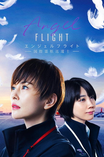 空中送行者海報