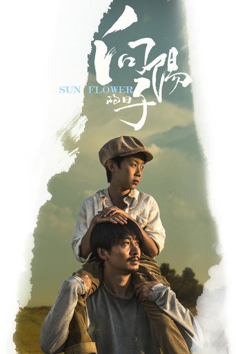 向陽的日子海報