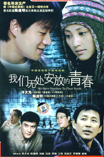 我們無處安放的青春海報