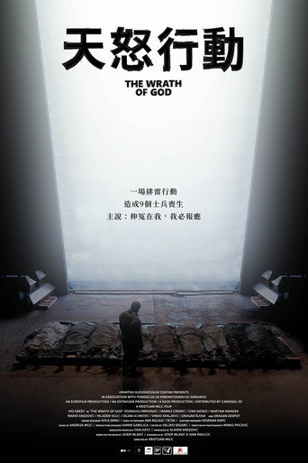 天怒行動海報