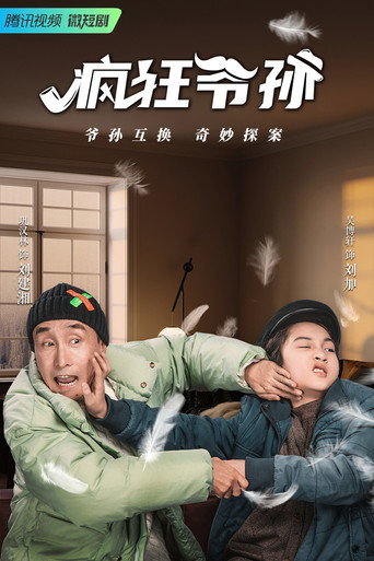 瘋狂爺孫 第1季海報