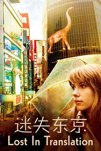 愛情不用翻譯海報