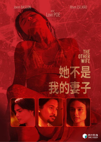 她不是我的妻子海報
