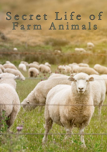 農場動物的秘密生活海報