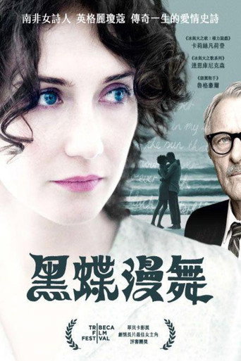 黑蝶漫舞海報
