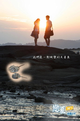 戀夏38℃海報