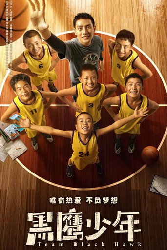 黑鷹少年海報